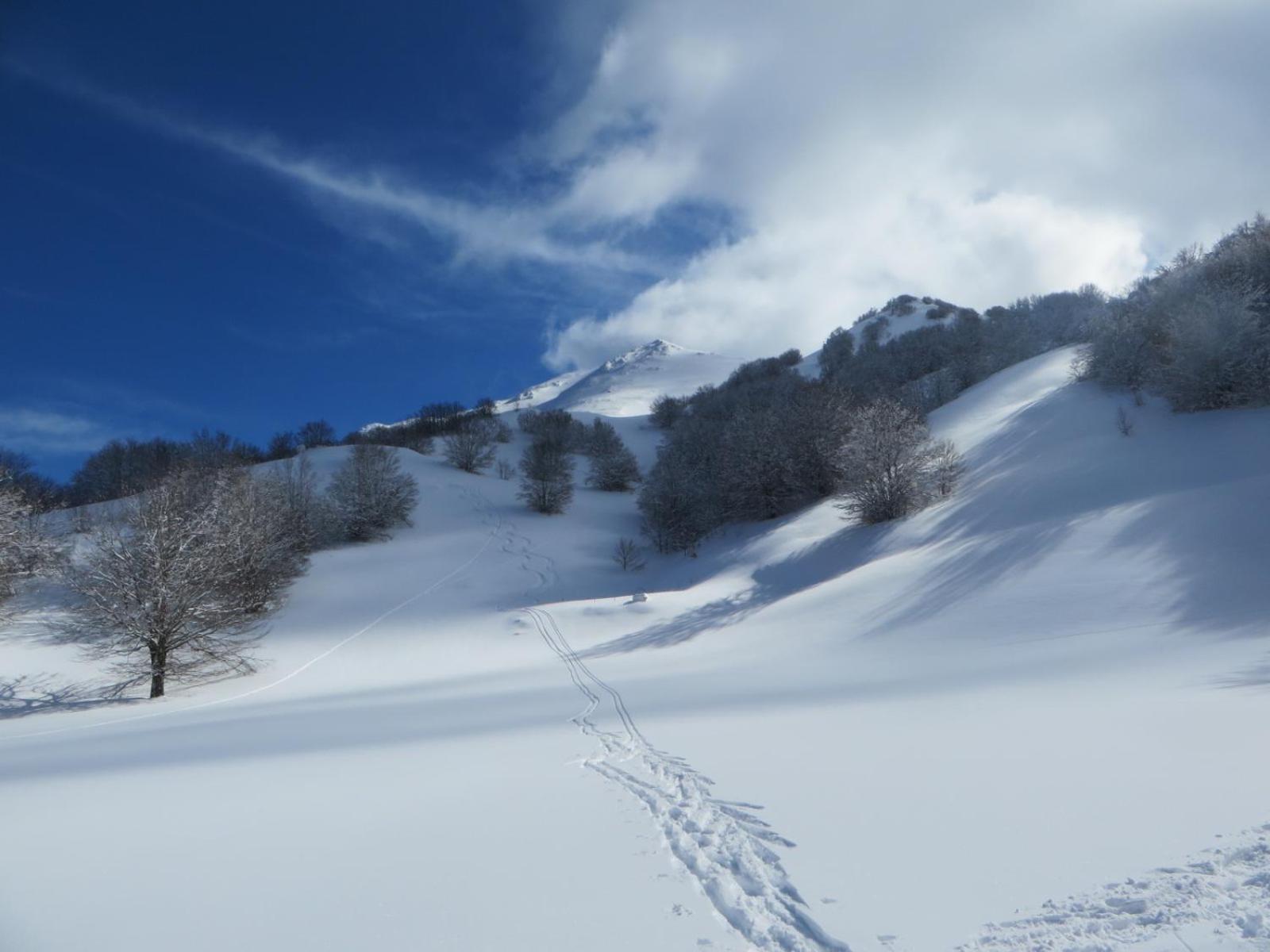 B&B Vivilmatese Roccamandolfi Esterno foto