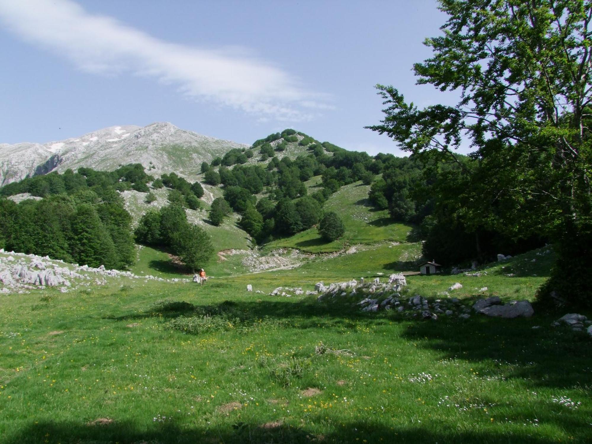 B&B Vivilmatese Roccamandolfi Esterno foto