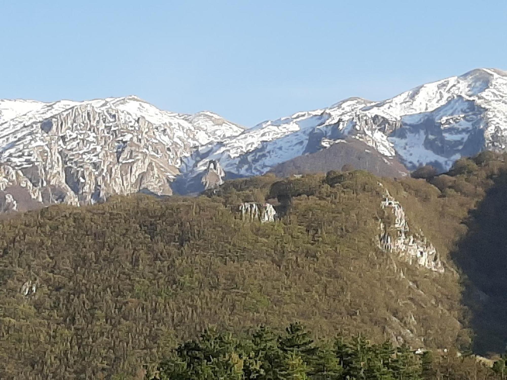 B&B Vivilmatese Roccamandolfi Esterno foto