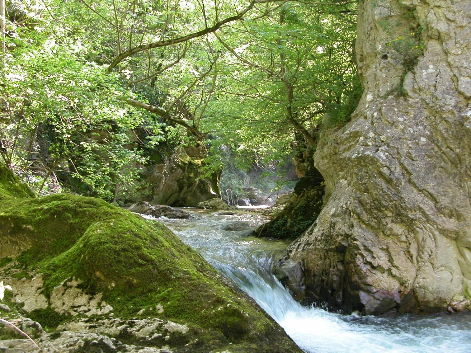 B&B Vivilmatese Roccamandolfi Esterno foto